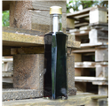 Bottiglia in vetro Poseidon 200ml
