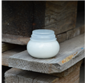 Barattolo in vetro Basilisco 30ml