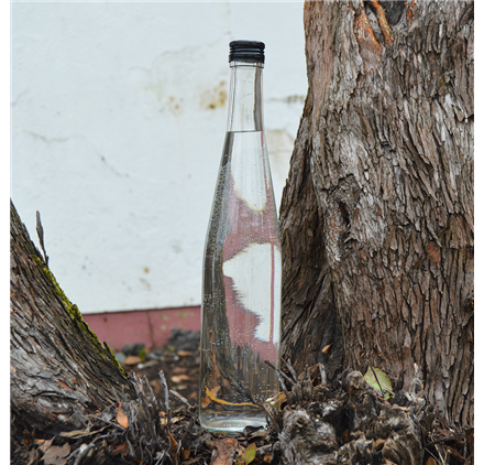 Garrafa de vidro Jasmim 700ml