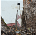 Bottiglia Jasmim 700ml 70CL