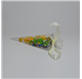 Scatola di acetato trasparente 155 mm cono