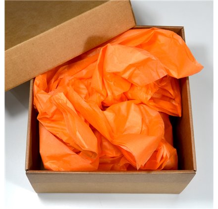 Papel Seda Salmon 50x75cm