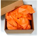 Papel Seda Salmon 50x75cm