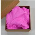 Papel Seda Flamingo Pink 50x75cm