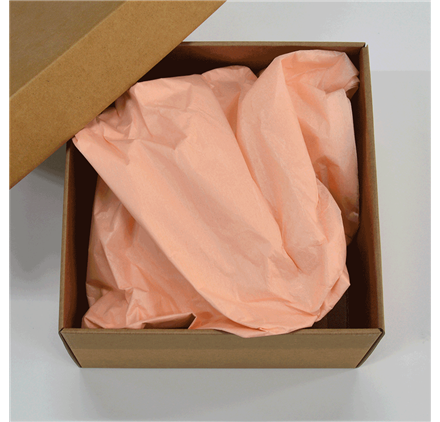 Papel Seda Salmon Pastel 50x75cm