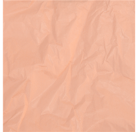 Papel Seda Salmon Pastel 50x75cm