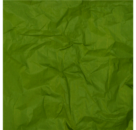Papel Seda Olive Green 50x75cm