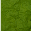 Papel Seda Olive Green 50x75cm