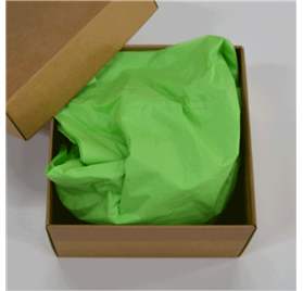 Papel Seda Mint Green 50x75cm