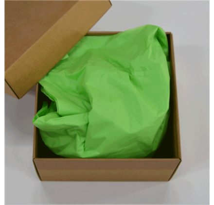 Papel Seda Mint Green 50x75cm