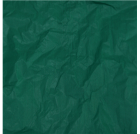 Papel Seda Forest Green 50x75cm