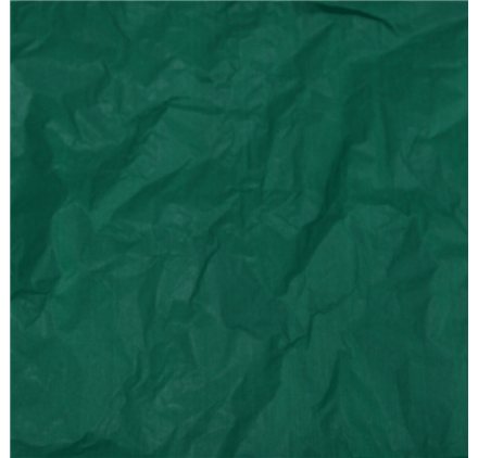 Papel Seda Forest Green 50x75cm