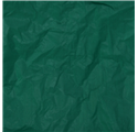 Papel Seda Forest Green 50x75cm