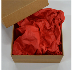 Papel Seda Infinitum Red 50x75cm