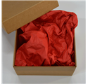 Carta Velina Infinitum Red 50x75cm