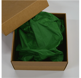 Papel Seda Jungle Green 50x75cm