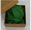 Papel Seda Jungle Green 50x75cm