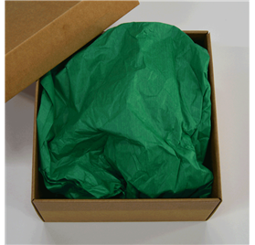 Papel Seda Pine Green 50x75cm