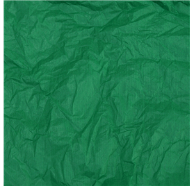 Papel Seda Pine Green 50x75cm