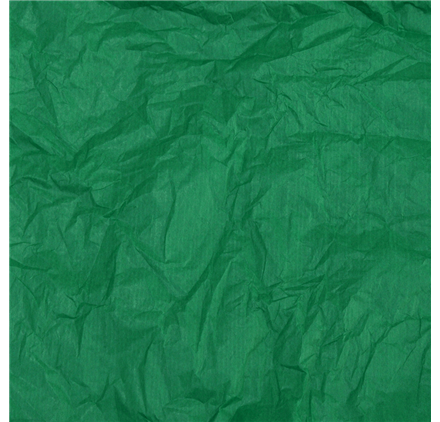 Papel Seda Pine Green 50x75cm