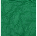 Papel Seda Pine Green 50x75cm