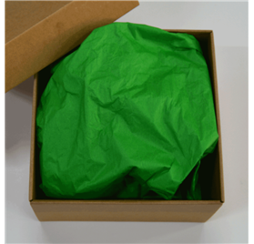 Carta Velina Amazon Green 50x75cm