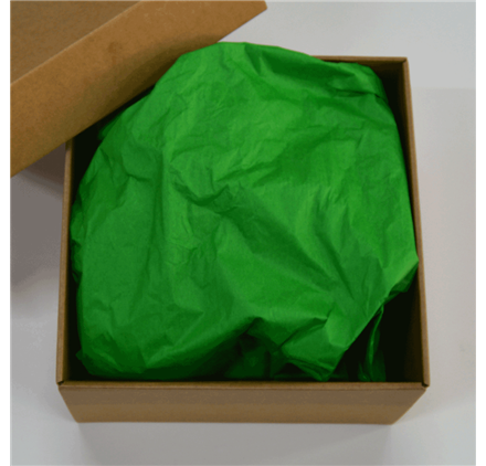 Papel Seda Amazon Green 50x75cm