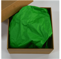 Papel Seda Amazon Green 50x75cm