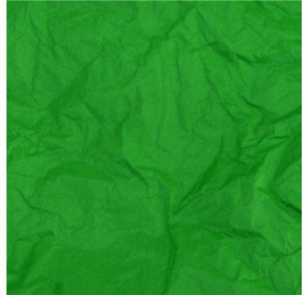 Papel Seda Amazon Green 50x75cm