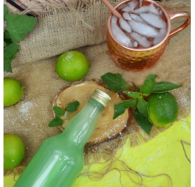Garrafa de vidro para licores plutão 500ml