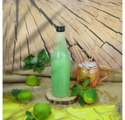 Garrafa de vidro Plutão 500ml