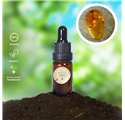 Olio essenziale di ambra Liquido
