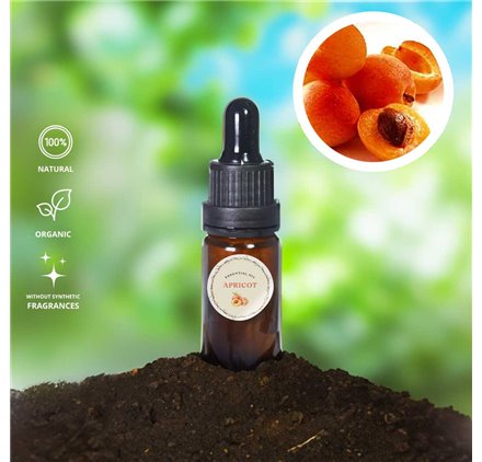 Olio essenziale di albicocca 43222