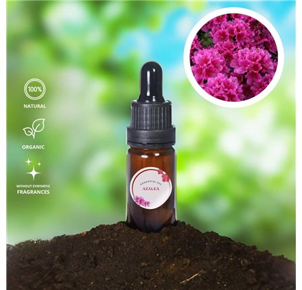 Óleo Essencial Azalea