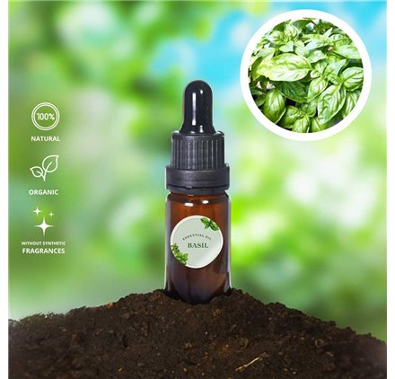 Olio Essenziale Basilico