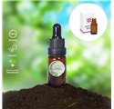 Olio essenziale di Brandy Tree Stelle