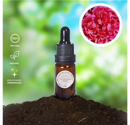 Olio essenziale di rosa centifola