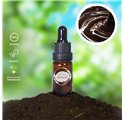 Olio essenziale di cioccolato