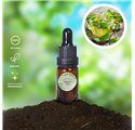 Olio essenziale di Cha verde