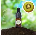 Óleo Essencial Kiwi 43265