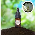 Olio essenziale di magnolia