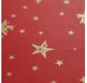 Papel de Embrulho 70cm Holiday Red Stars