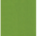 Carta da regalo 70cm Verjurado Lime Lively