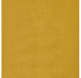 Papel de Embrulho 70cm Verjurado Mustard Mingle