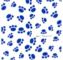 Papel de Embrulho Teddy's Trail