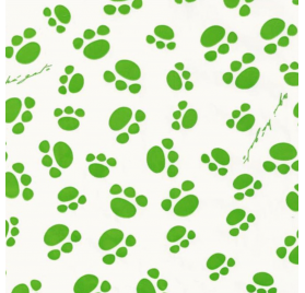 Carta da Regalo Paw Prints Path