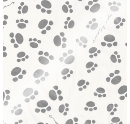 Papel de Embrulho Polar Path