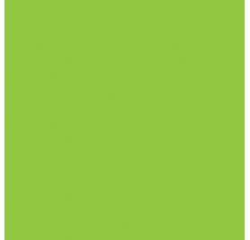 Papel de Embrulho 70cm Lime Zest
