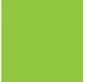 Papel de Embrulho 70cm Lime Zest