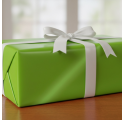 Papel de Embrulho 70cm Emerald Envy 
